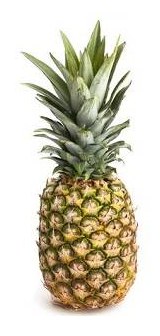 Bendel pineapple