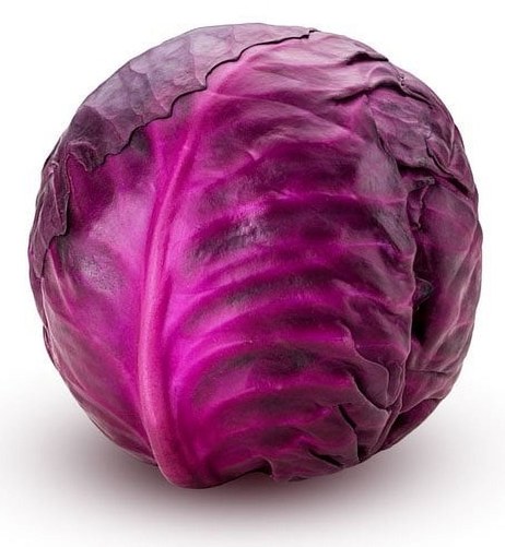 Cabbage Purple