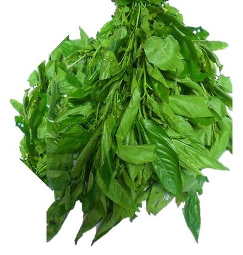 Ewedu Leaf