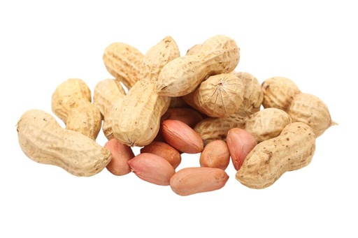 Groundnut Raw