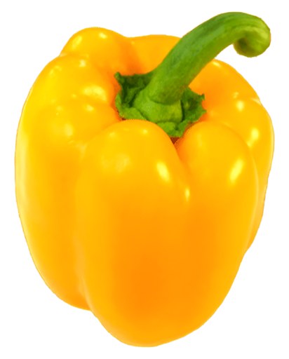 Bell Pepper Yellow, Fresh